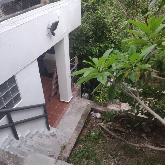 Kk Jungle Hideaway Lovely Apartment 5 Mins Walk To Town Kota Kinabalu Luaran gambar